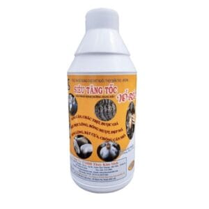 Siêu tăng tốc vỗ béo