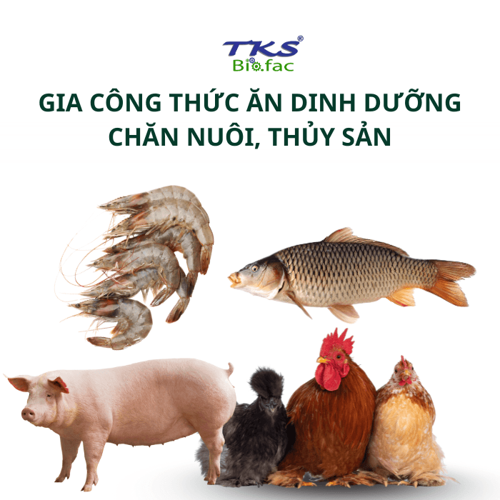 Sản xuất - gia công phân bón, thuốc BVTV, Thức ăn chăn nuôi thủy sản, Chế phẩm vi sinh theo yêu cầu