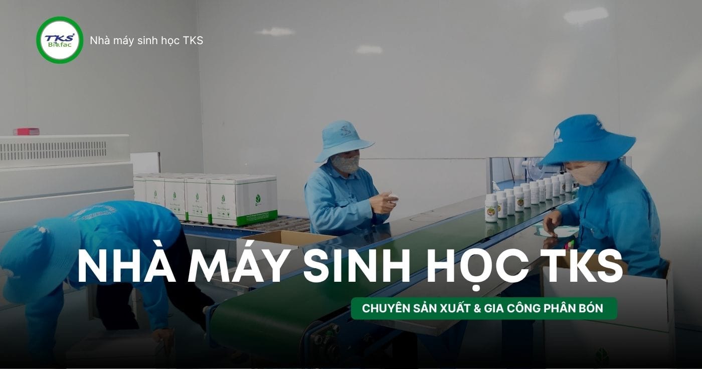 Công ty Gia công phân bón theo yêu cầu uy tín & giá rẻ 2025 3 Công ty Gia công phân bón theo yêu cầu uy tín & giá rẻ